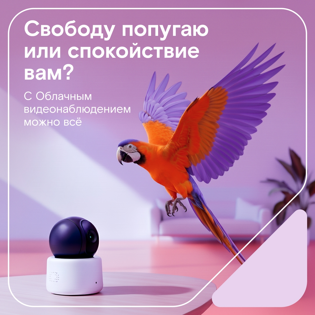 Переживаете за пернатого? Пока вас нет дома, он может устроить батл с собственным отражением, начать репетировать каверы на ваши любимые песни или..