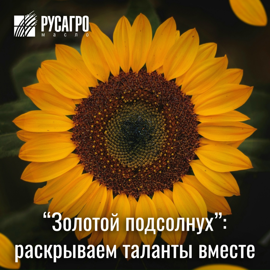 Осталось три дня! Напоминаем, что 16 октября — последний день подачи заявок на конкурс талантов «Золотой подсолнух»!