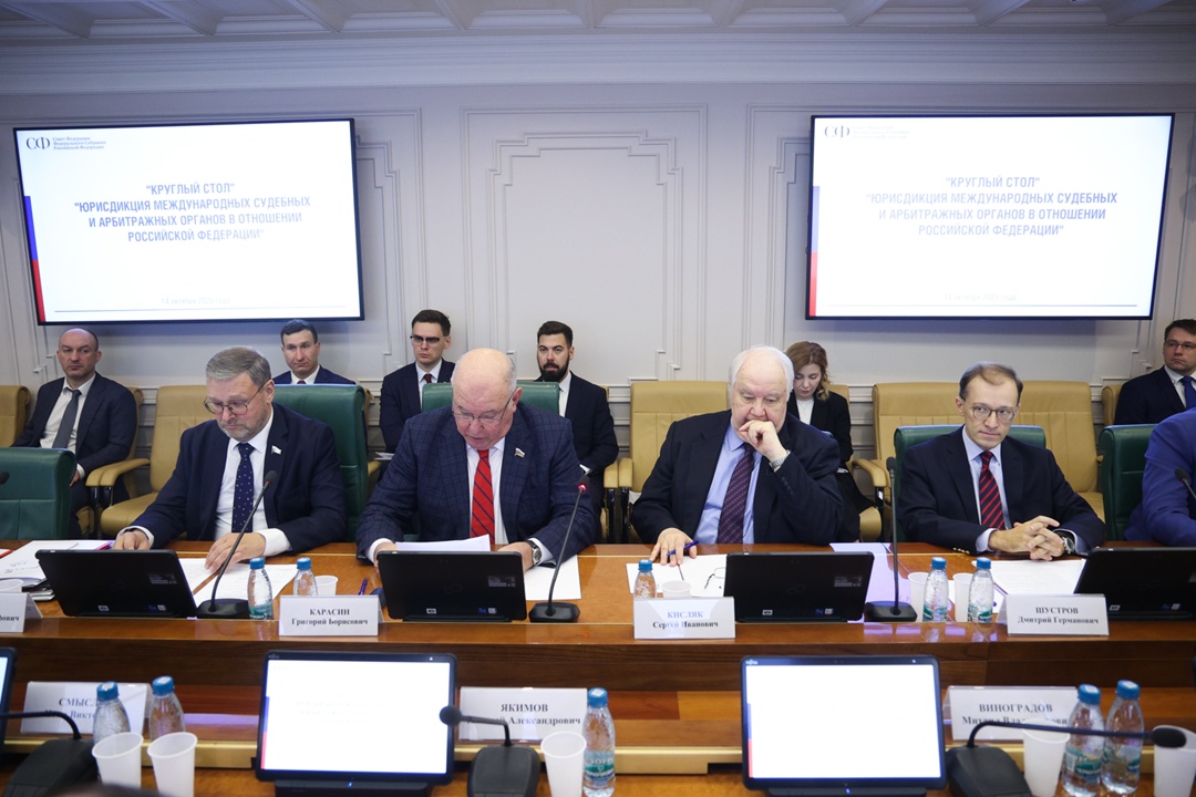 В верхней палате состоялся круглый стол, на котором обсуждались меры противодействия деструктивным решениям международных судебных органов