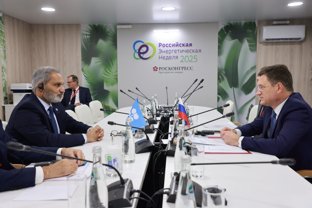 Александр Новак обсудил с зарубежными партнерами взаимодействие в топливно-энергетической сфере.