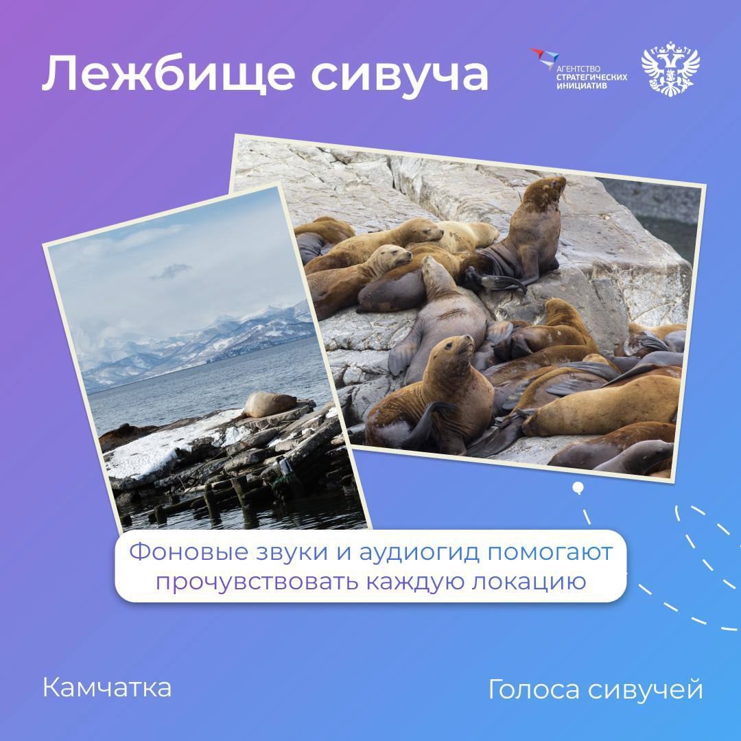 Представьте: под ногами — чёрный песок Чукотки, а вдалеке дышит кратер.