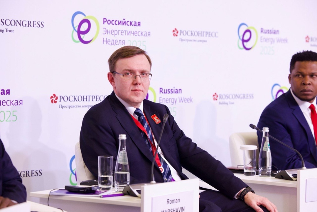 Роман Маршавин обозначил стратегические перспективы энергетического сотрудничества с Африкой