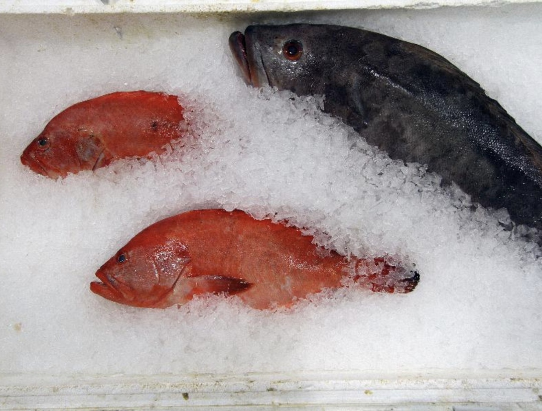 Федеральная антимонопольная служба (ФАС) сообщила, что запросила у 12 крупнейших торговых сетей информацию о средневзвешенных закупочных и розничных ценах, а…