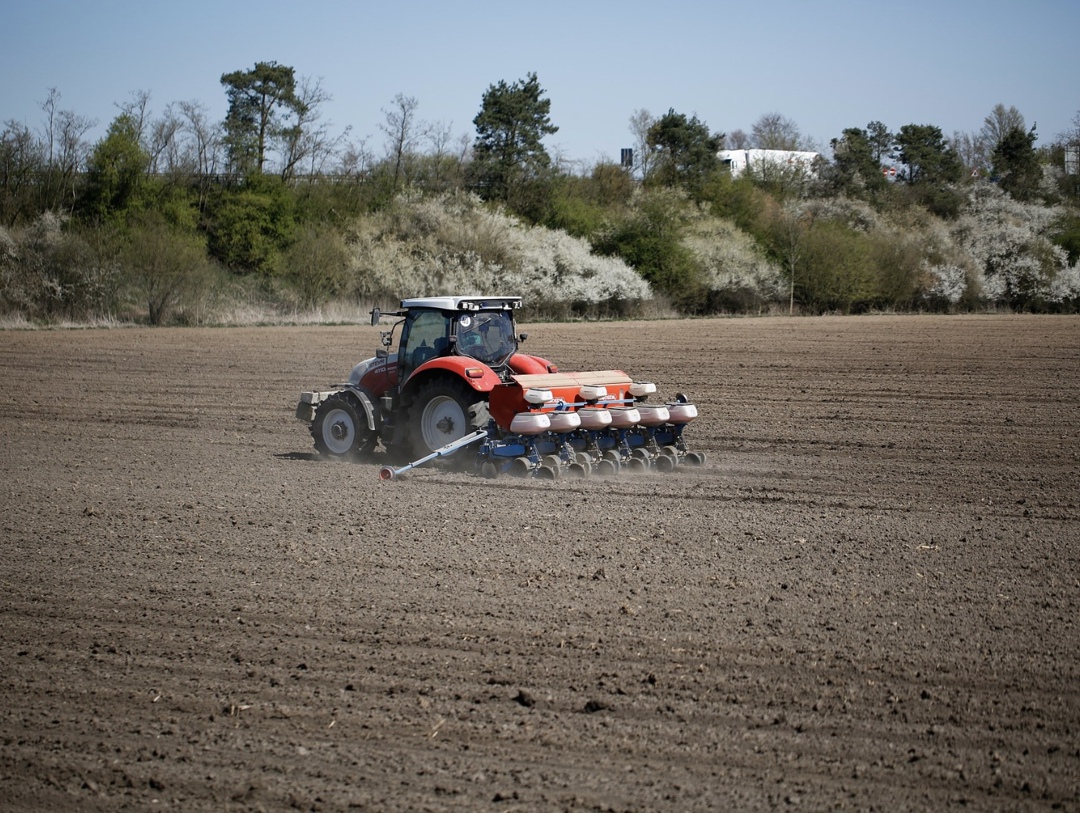 Озимые под урожай 2026 года посеяны на 15 млн га из плановых 20 млн га, сообщила министр сельского хозяйства Оксана Лут в ходе совещания президента Владимира…