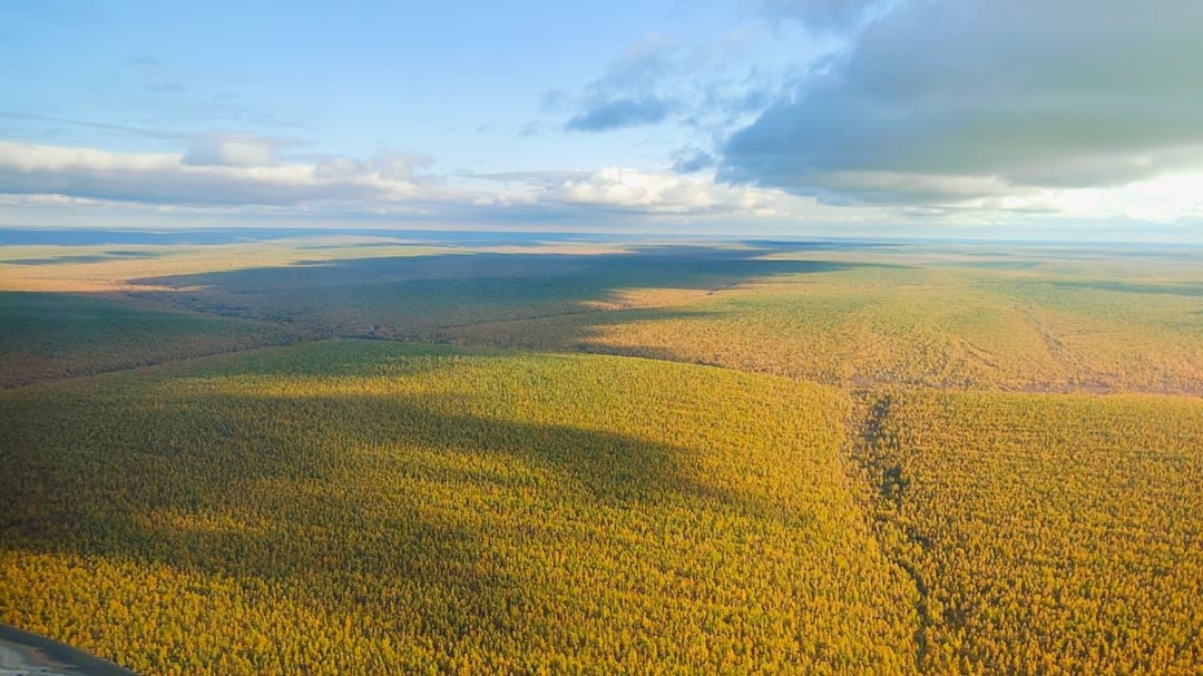 Якутская тайга с высоты полета самолета или вертолета кажется одним сплошным ковром