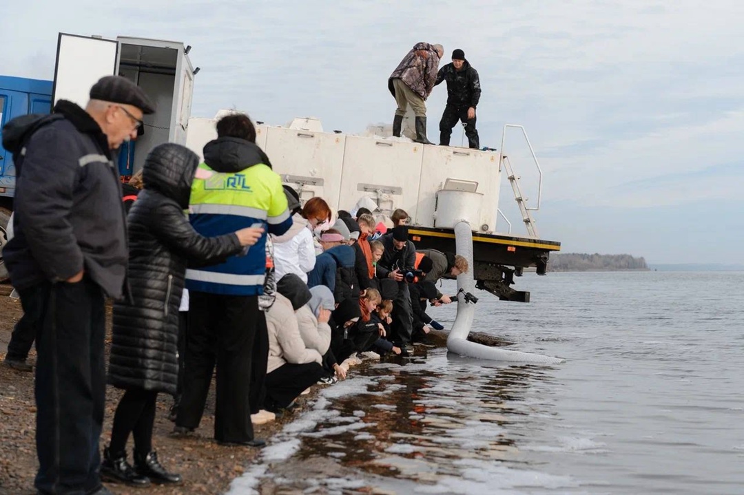 Вернуть изобилие стерляди мальков ценной промысловой рыбы выпустили нефтяники Пемского НПЗ ЛУКОЙЛа совместно со школьниками посёлка Уральский (Пермский край).