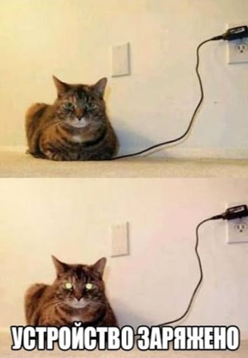 Утро. Миллионы чайников, посудомоек и стиральных машин запускаются в один момент. Это не сценарий апокалипсиса, а ежедневный стресс-тест для энергосистемы