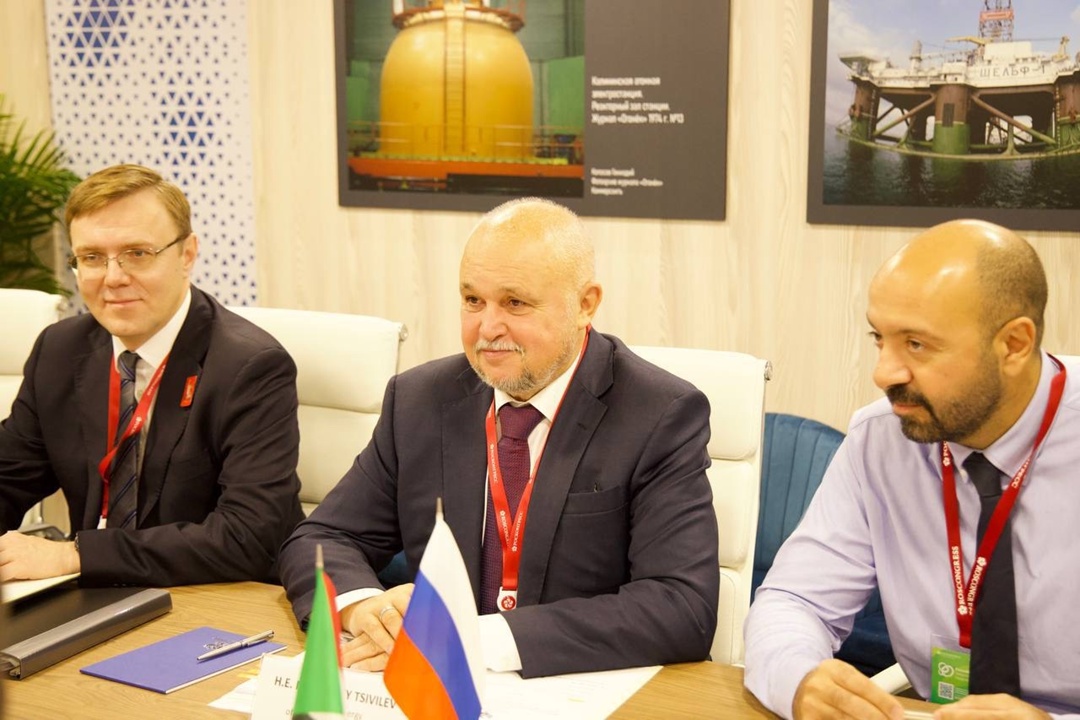 Сергей Цивилев обсудил сотрудничество в энергетике с суданскими коллегами