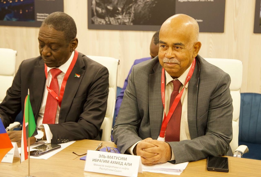 Сергей Цивилев обсудил сотрудничество в энергетике с суданскими коллегами