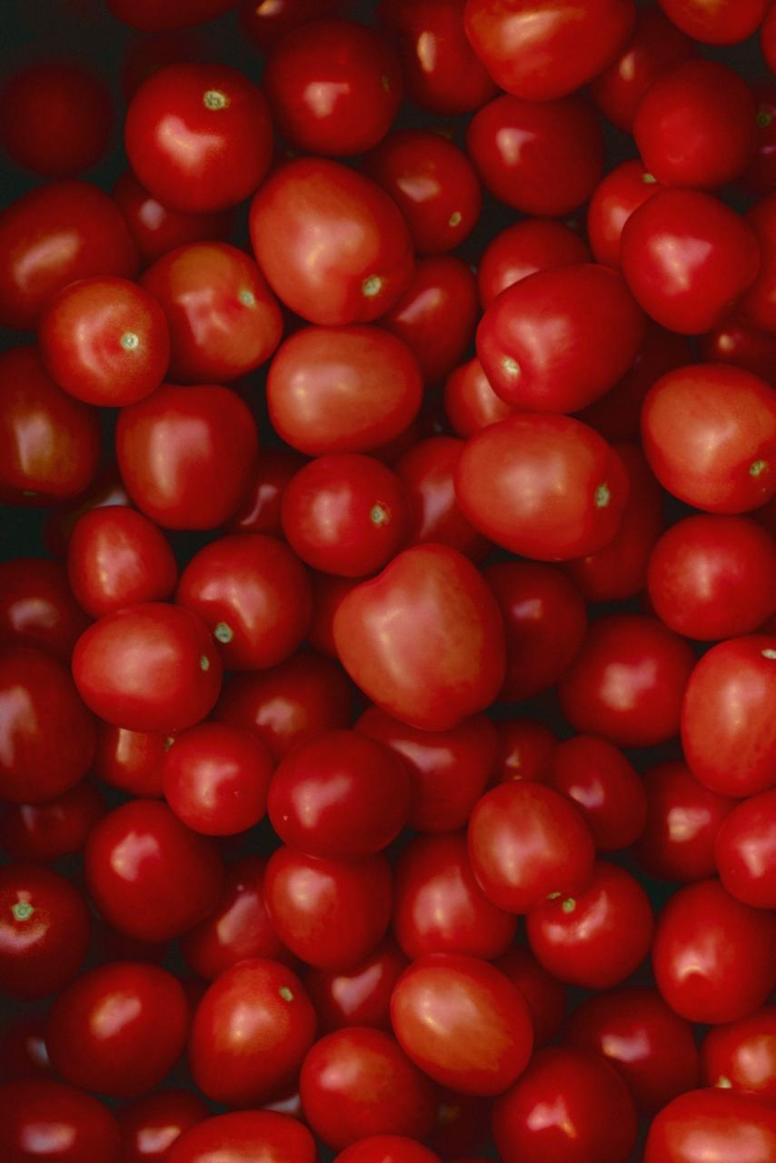 Модницы-огородницы! Сельское хозяйство на глянцевых страницах – овощеводы из Московской, Ленинградской областей и Ставрополья стали героинями совместного…