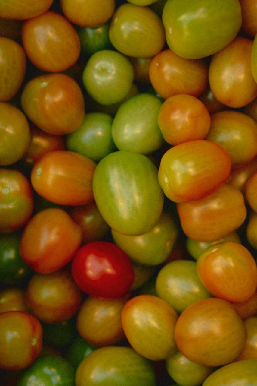 Модницы-огородницы! Сельское хозяйство на глянцевых страницах – овощеводы из Московской, Ленинградской областей и Ставрополья стали героинями совместного…