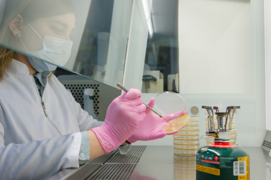 Микроорганизмы на страже Арктики «Роснефть» совместно с МГУ и «Иннопрактикой» создала биопрепарат «Океанида», предназначенный для очистки арктических морей от…