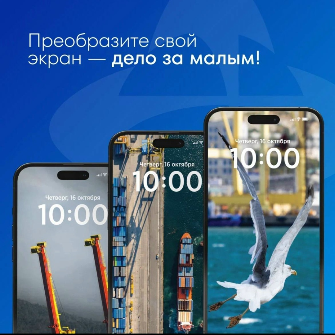 Фирменный стиль на каждый день Вносим яркие краски в осенние будни! Подготовили логистические обои для мобильных.