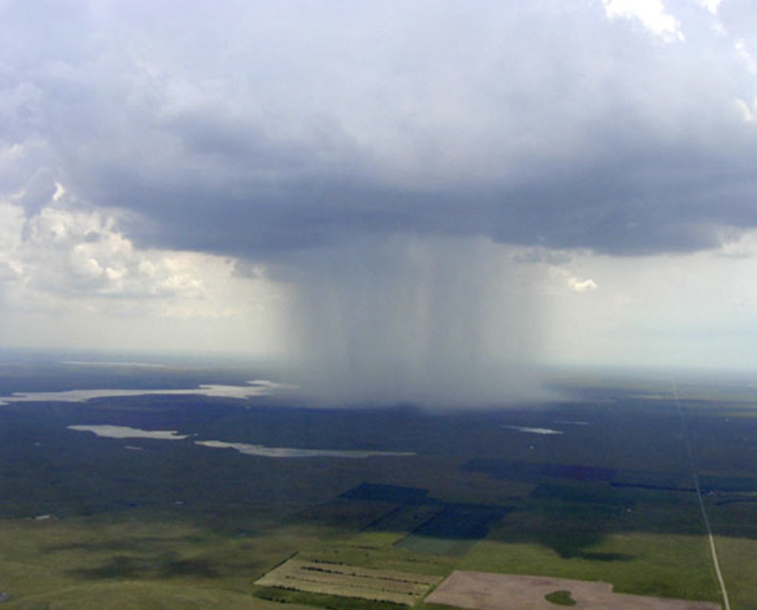 Депутаты Госдумы на заседании Комитета по бюджету и налогам обратили внимание Минсельхоза на необходимость урегулирования вопросов, связанных с искусственным…