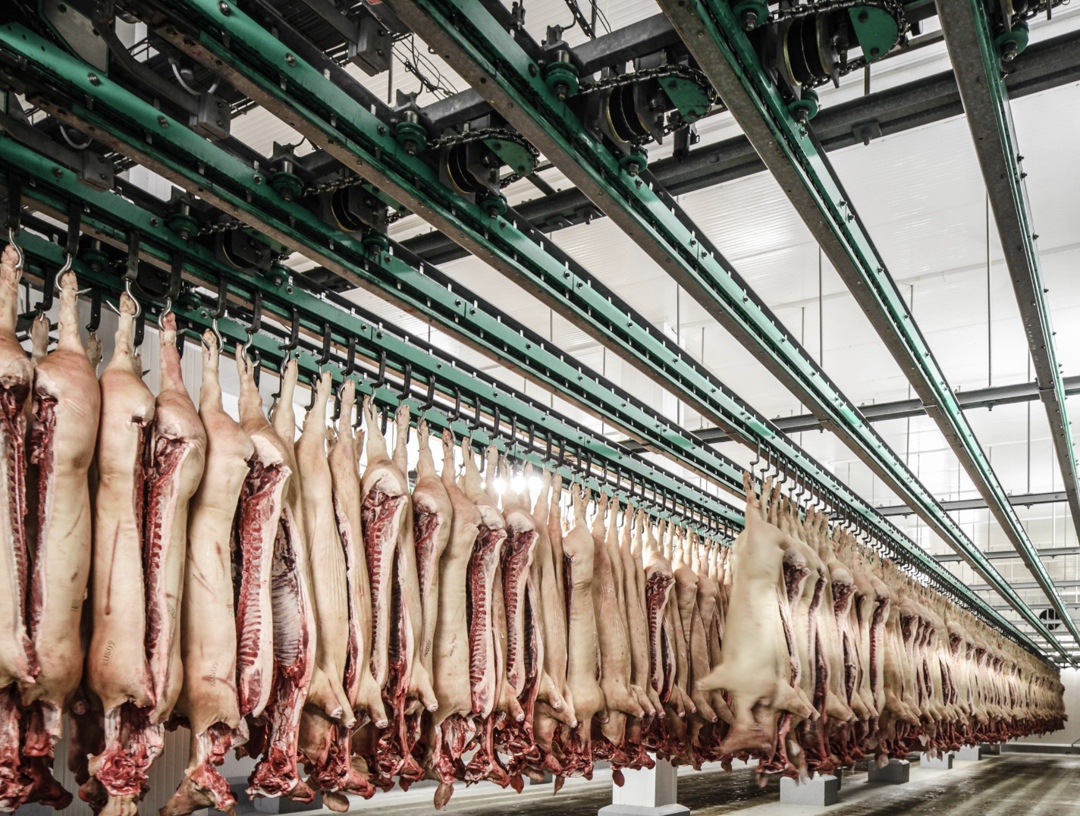 Экспорт свинины из России в Китай за девять месяцев увеличился вдвое год к году и превысил 55,6 тыс. т, сообщил Россельхознадзор на основании данных…