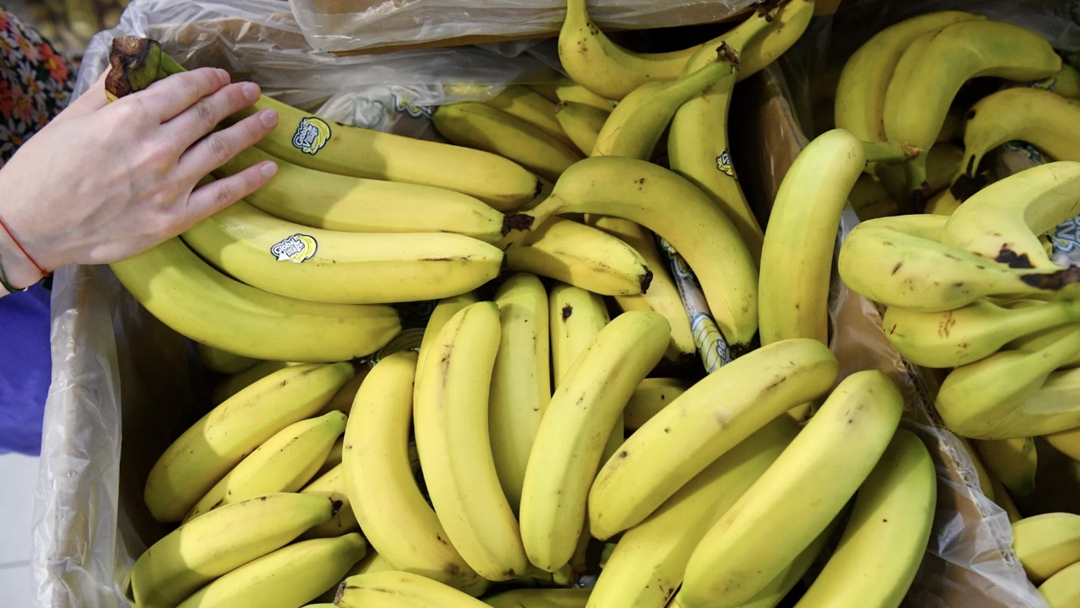 Россия рассчитывает на увеличение поставок бананов из Индии до 300-500 тыс. т, сообщил Россельхознадзор по итогам переговоров руководителя службы Сергея…