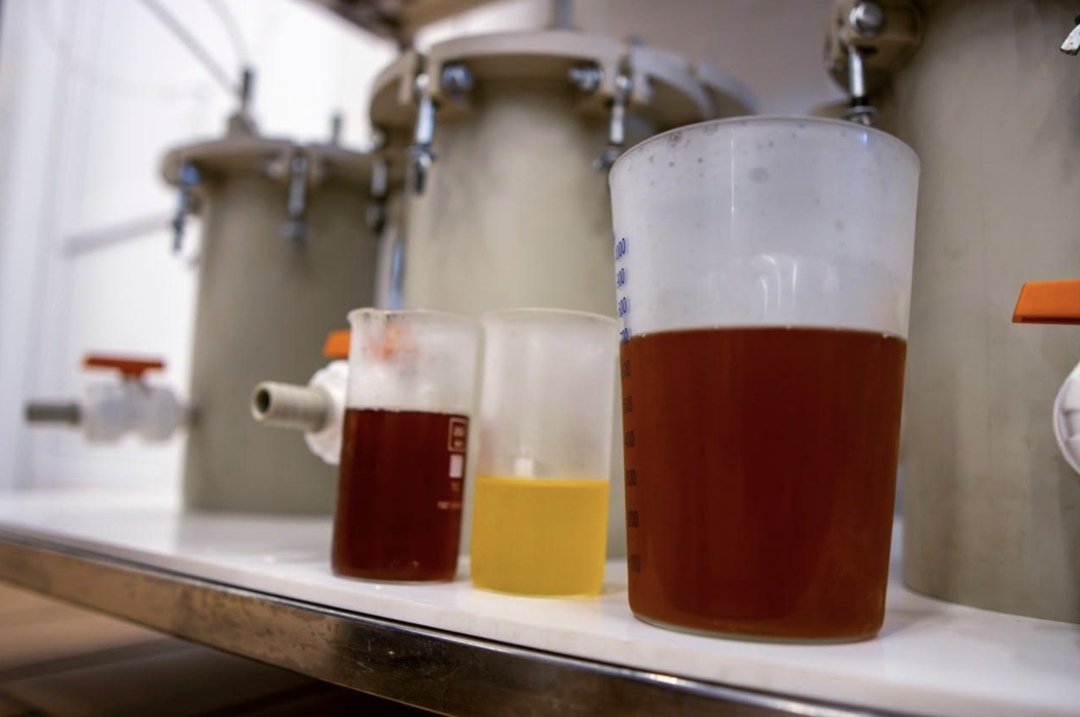 В группе компаний «Прогресс Агро» начали тестировать инновационные методы очистки сахаросодержащего сырья