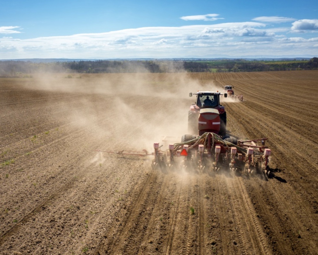 АПК «Михайловский» (входит в группу «Черкизово») купил на торгах 100% акций АО «Промышленный» у правительства Алтайского края. Покупатель согласился заплатить…