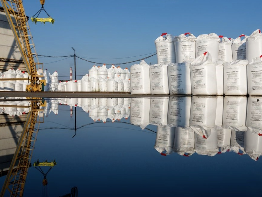 Правительство скорректирует и продлит квоты на вывоз минеральных удобрений, которые будут действовать в период с декабря 2025 года по май 2026-го.…