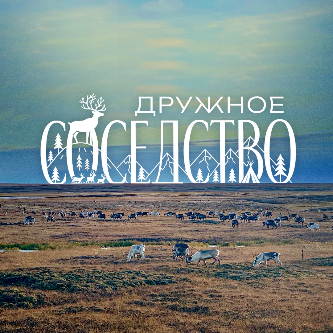 Осень на Ямале – время каслания оленей в сторону зимних кочевий