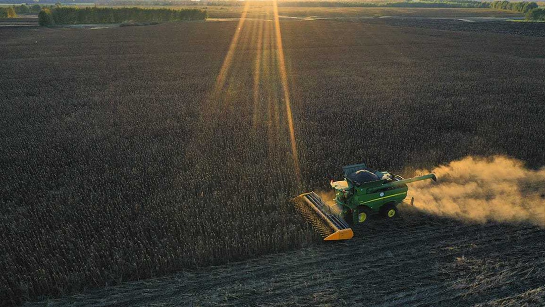 Группа компаний «Тамбовагропромхимия» продолжает уборку семенного подсолнечника. В этом году под выращивание семян гибридов предприятие выделило почти 500 га.…