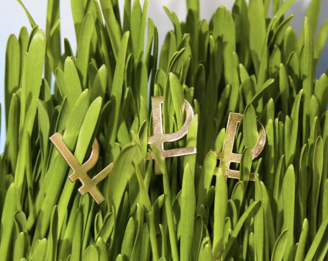 Самое интересное за неделю с 13 по 19 октября