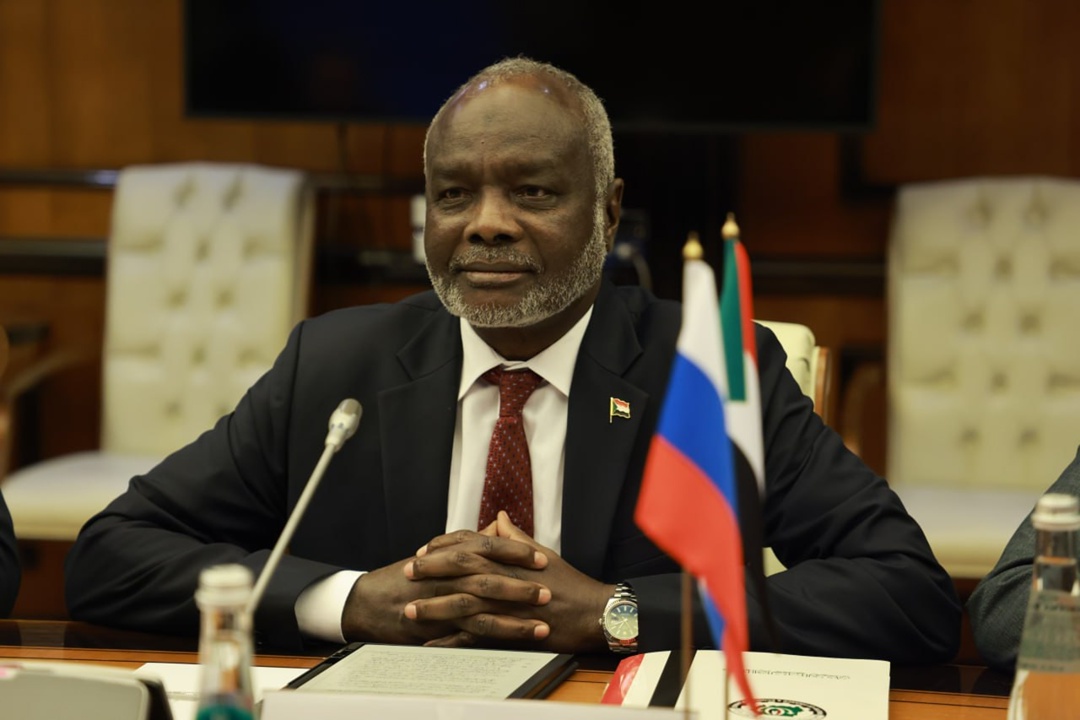 Александр Новак встретился с делегацией Республики Судан.