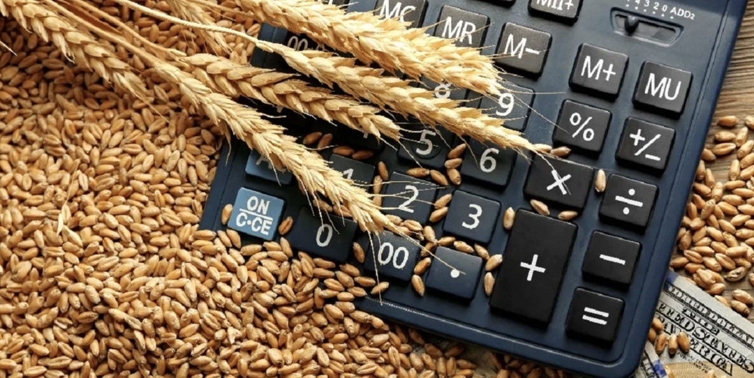 Цифровая платформа для аграриев «Цена Зерна» за первые девять месяцев этого года увеличила количество сделок в три раза в количественном и денежном выражениях…