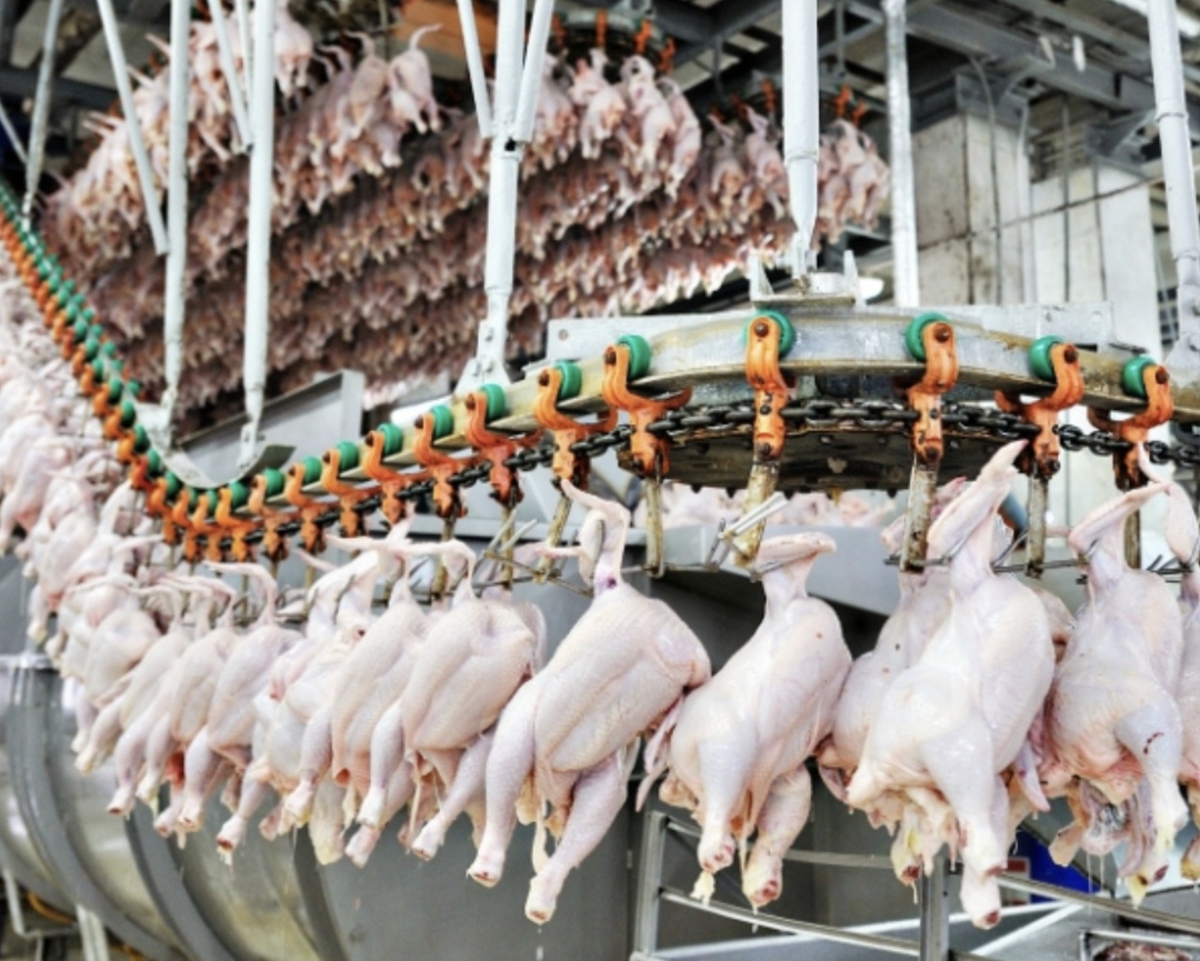 Группа «Черкизово» досрочно превысила установленные в предписании ФАС обязательства по реализации части продукции на бирже, сообщил представитель компании в…