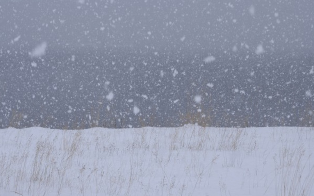 Власти Омской области введут режим ЧС в связи со снегом, сообщил в своем Телеграм-канале губернатор региона Виталий Хоценко. По его словам, сейчас под снегом…