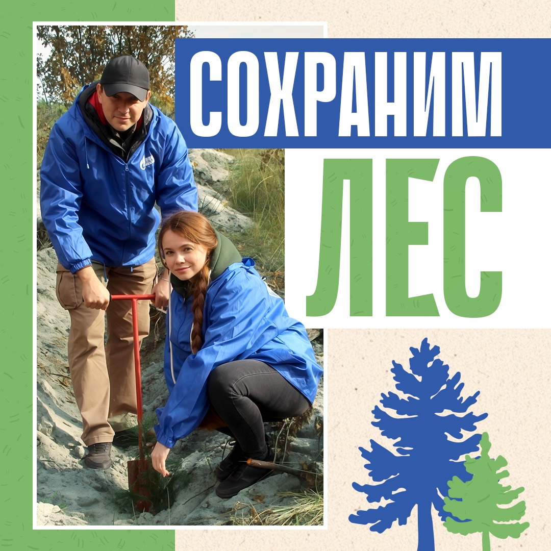 На участке, пострадавшем от лесного пожара, будут расти девять тысяч саженцев кедра. Высадить молодые деревья помогли работники «Газпром трансгаз Томск»