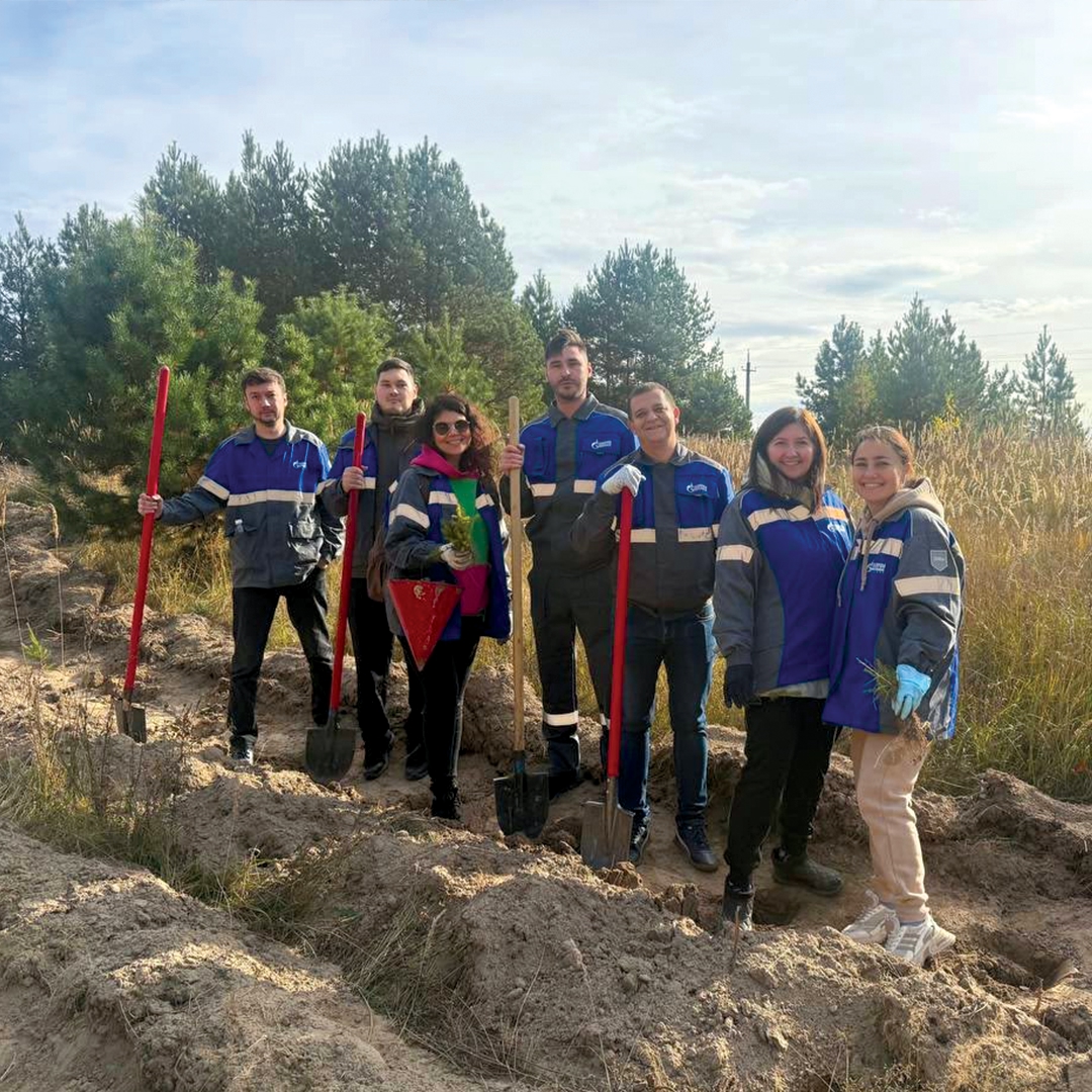 На участке, пострадавшем от лесного пожара, будут расти девять тысяч саженцев кедра. Высадить молодые деревья помогли работники «Газпром трансгаз Томск»