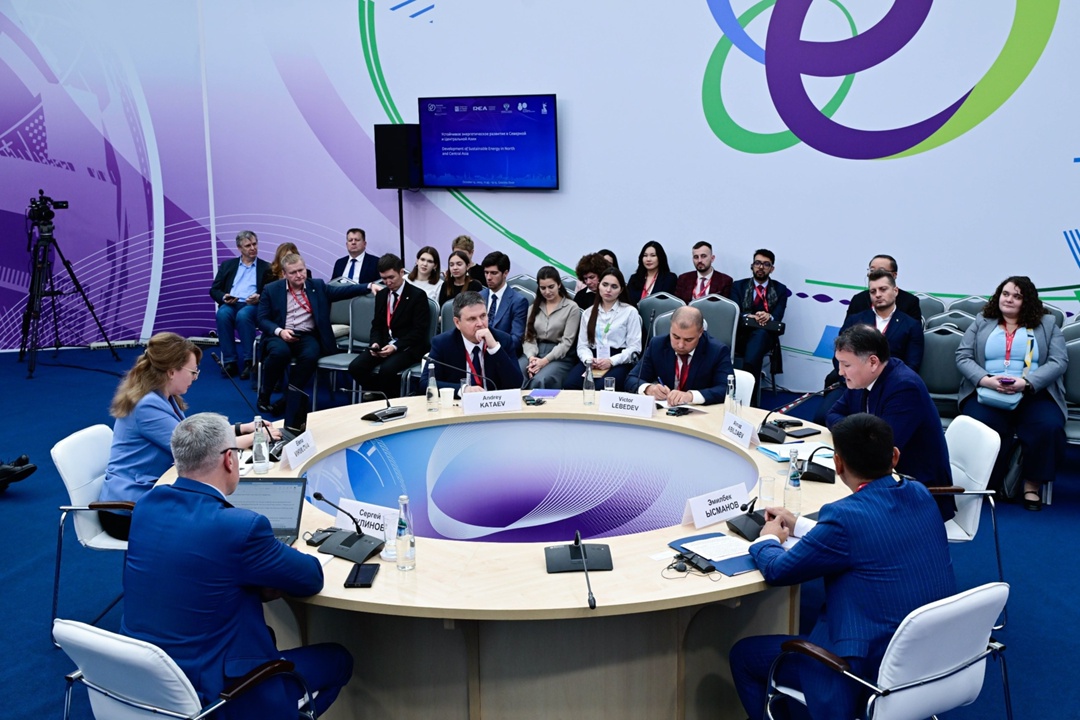 Директор по международной деятельности РЭА Минэнерго России Елена Викулова на круглом столе «Устойчивое энергетическое развитие в Северной и Центральной Азии»…