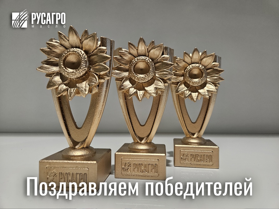 Вот и финал! С огромной радостью объявляем итоги нашего конкурса талантов «Золотой подсолнух»!