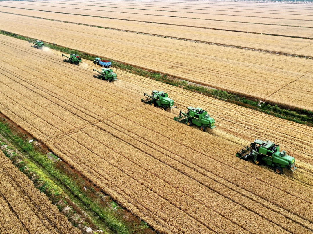 По прогнозу Российского зернового союза (РЗС), в октябре экспорт зерна из России может составить 6,2 млн т – на 0,9 млн т меньше, чем в этот месяц годом ранее,…