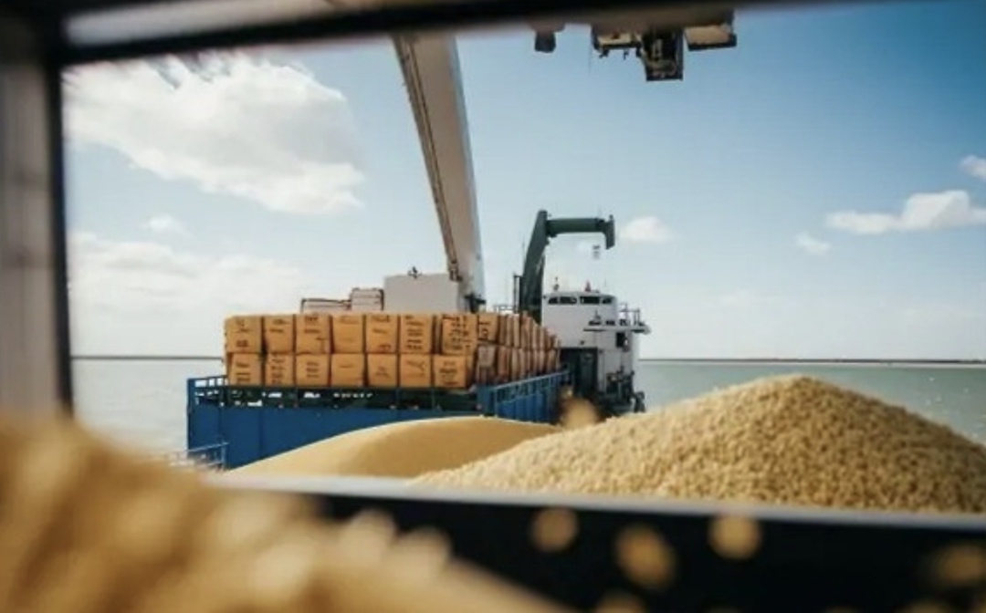 С 1 по 20 октября Россия отгрузила на экспорт около 4,1 млн т зерновых - на 16% меньше, чем годом ранее, пишет «Интерфакс» со ссылкой на мониторинг Российского…