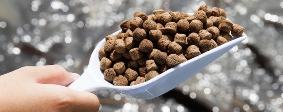 К 2030 году планируется увеличить уровень самообеспеченности рыбными кормами до 90%, рыбопосадочным материалом - до 80%. По итогам 2024 года кормопроизводство…