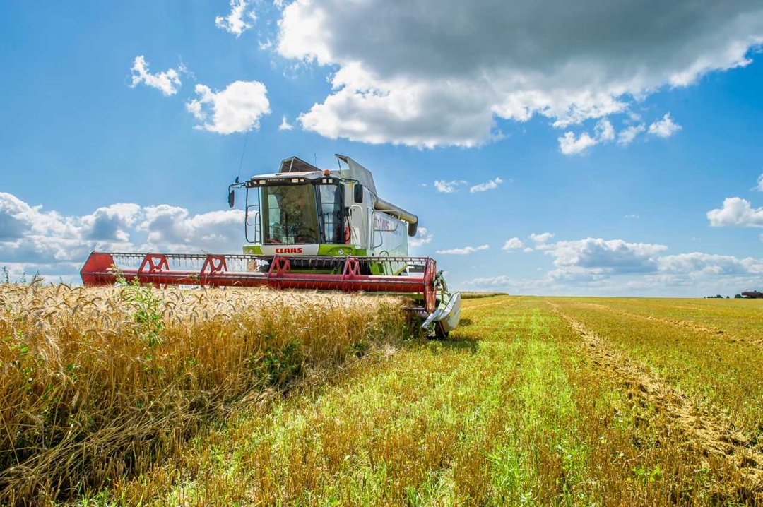 Группа «Черкизово» сообщила, что намерена инвестировать более 500 млн руб. в расширение парка сельхозтехники и модернизацию купленного актива АО «Промышленный»…