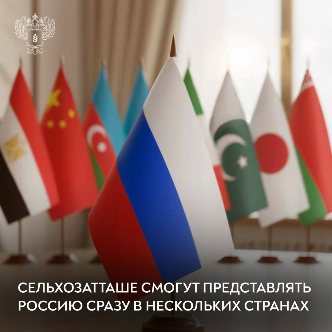 Сельхозатташе смогут представлять Россию сразу в нескольких странах