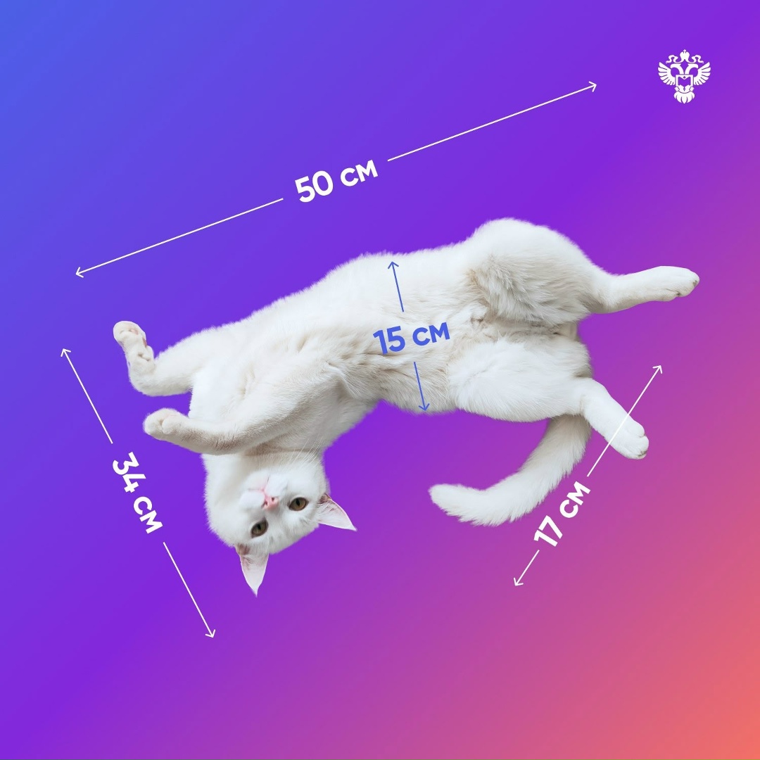 Друзья, после публикации в СМИ данных о среднем росте россиянина к нам поступили вопросы: "А вы случайно не объединили в статистике младенцев и баскетболистов