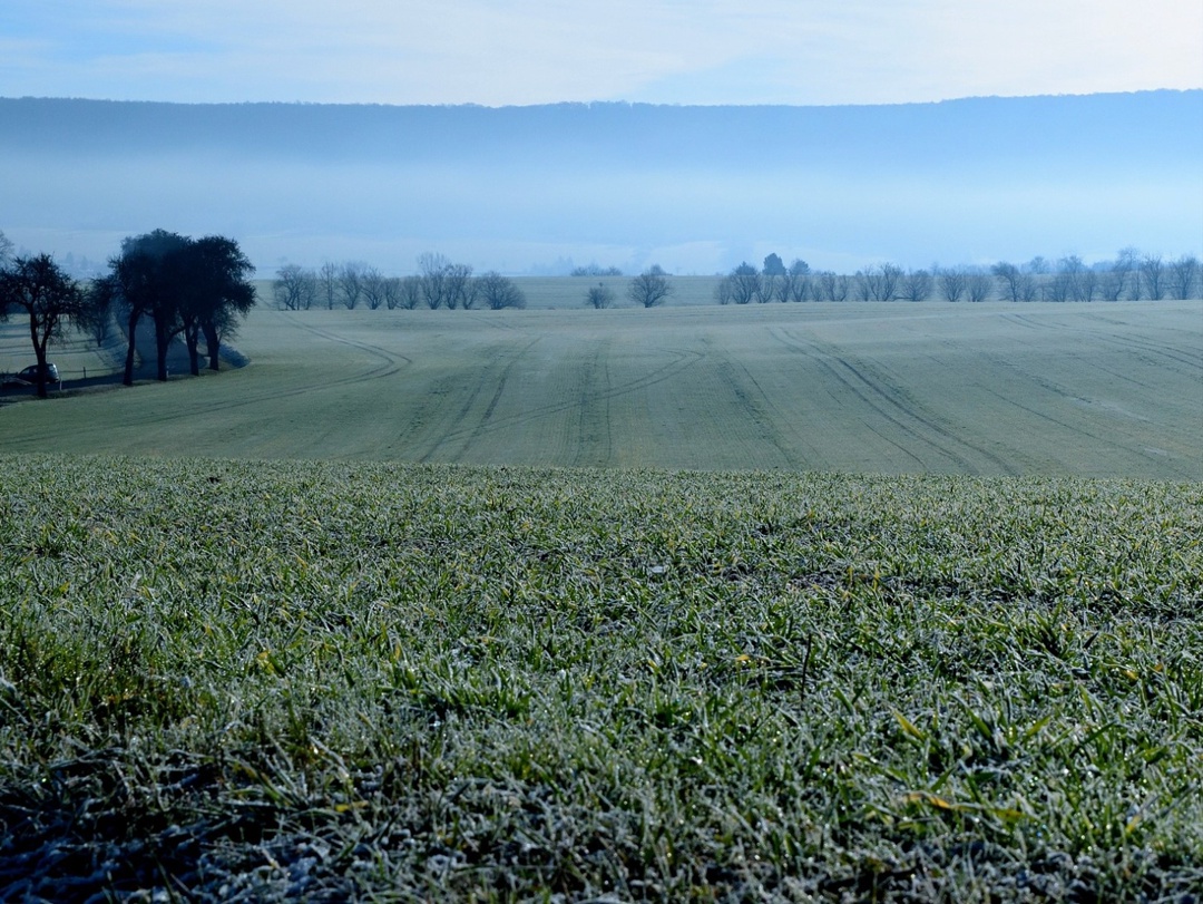 В России продолжается сев озимых под урожай 2026 года, по прогнозу Минсельхоза, они должны занять 20 млн га. Погодные условия в этом году в целом лучше, чем в…