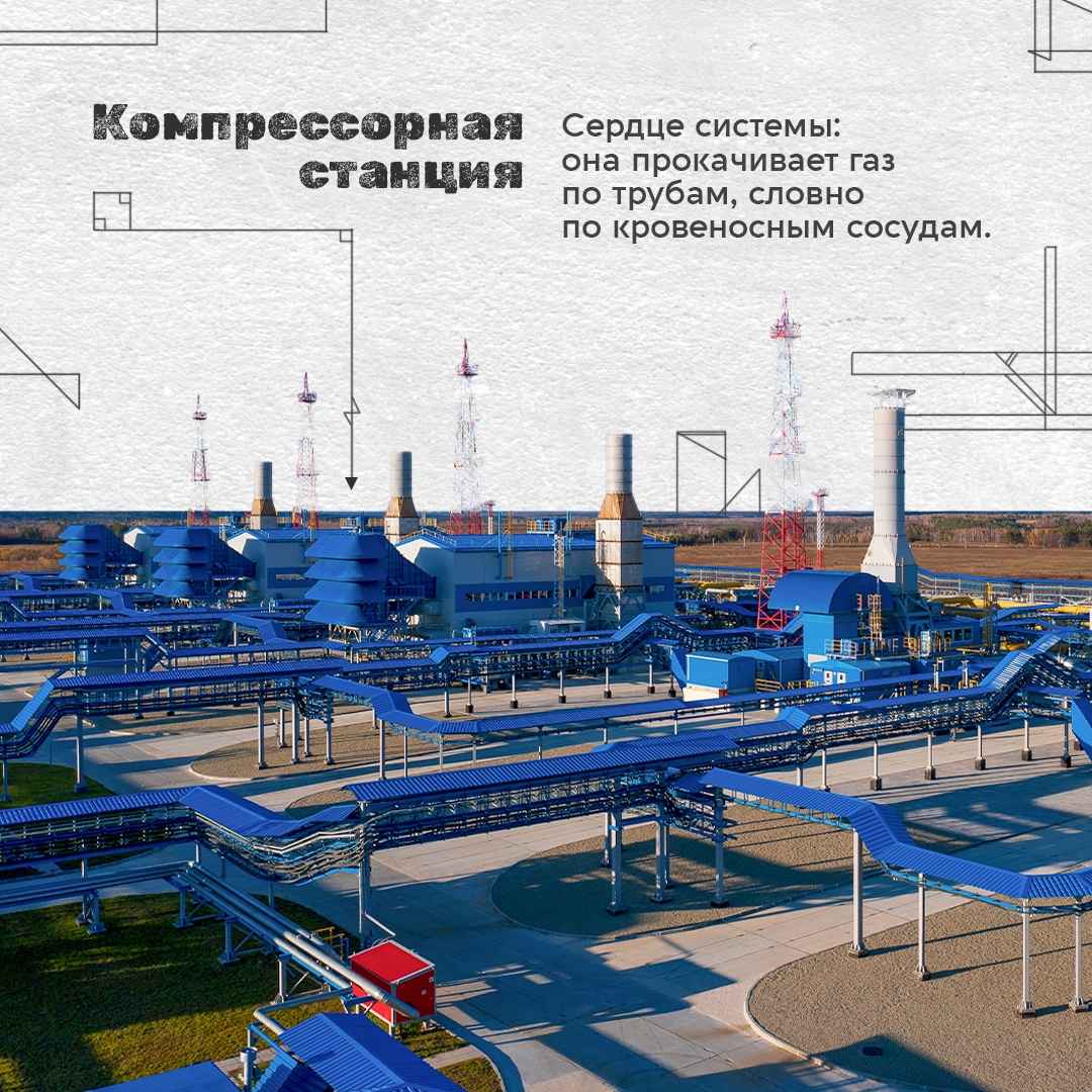 Когда вы ставите чайник на газовую плиту, вряд ли задумываетесь, какое длинное путешествие газ проделал к ней