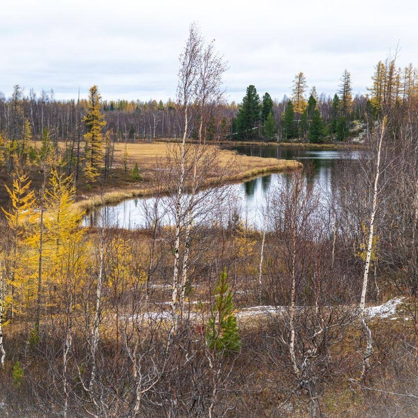 На Севере зима дает о себе знать задолго до своего календарного наступления