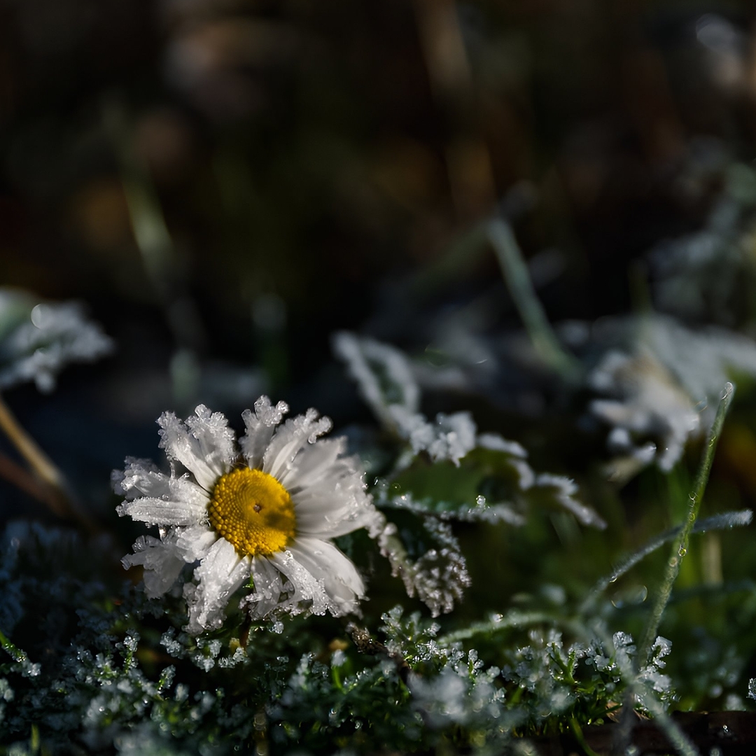 На Севере зима дает о себе знать задолго до своего календарного наступления