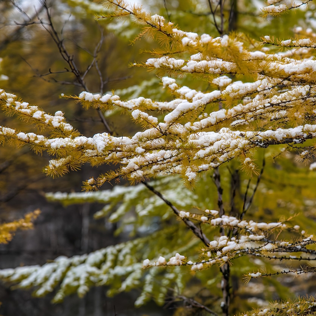 На Севере зима дает о себе знать задолго до своего календарного наступления