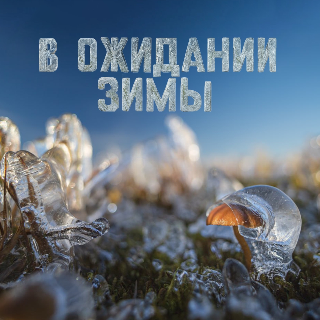 На Севере зима дает о себе знать задолго до своего календарного наступления