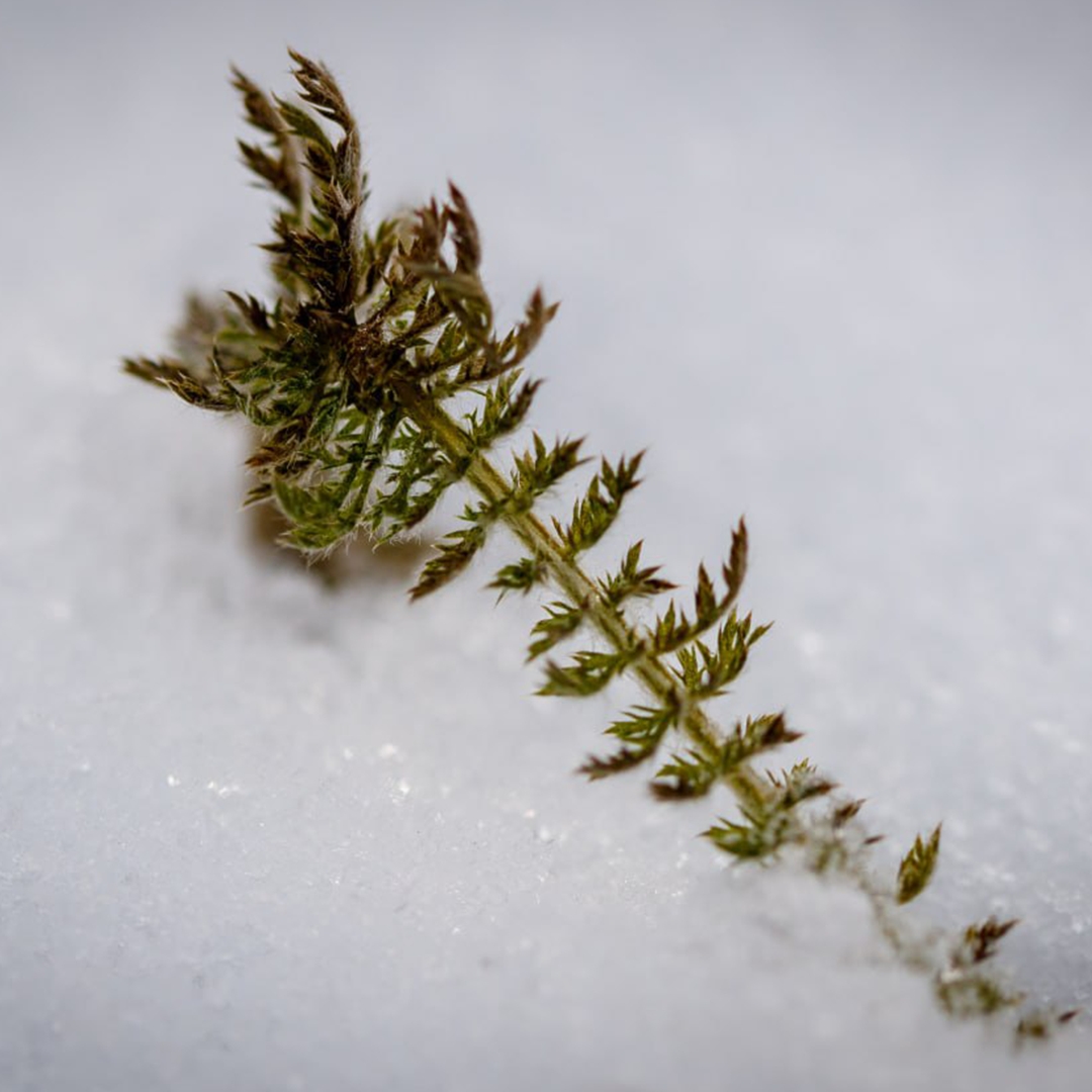 На Севере зима дает о себе знать задолго до своего календарного наступления