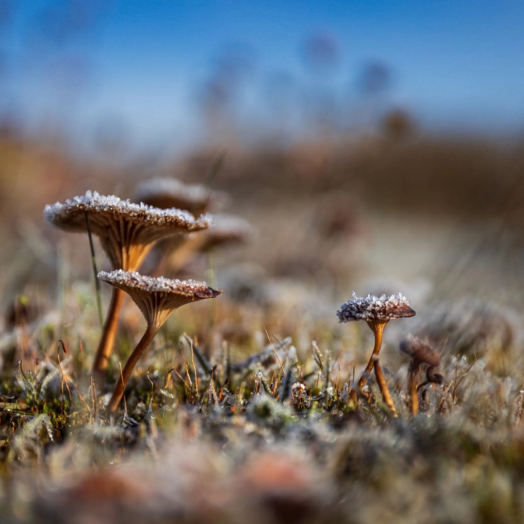 На Севере зима дает о себе знать задолго до своего календарного наступления