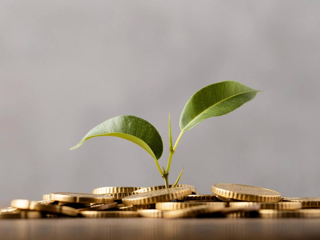 Правительство дополнительно направило более 470 млн руб. на субсидирование программы льготных кредитов на благоустройство частных жилых домов на селе. Всего в…