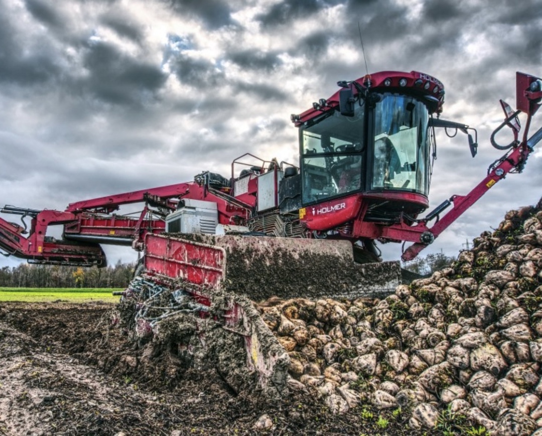 По состоянию на 27 октября в России убрано 955 тыс. га, или 79,5 % площади посевов сахарной свеклы, накопано 37,9 млн т, сообщил «Союзроссахар»